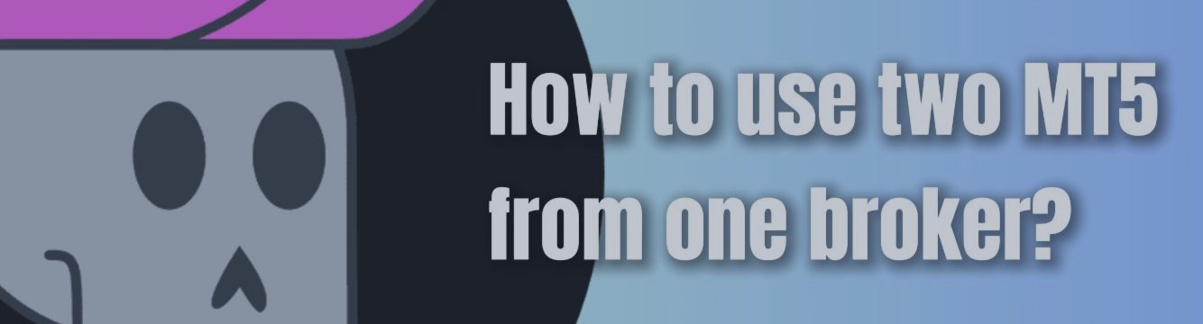 How to use two MT5 of the same broker?