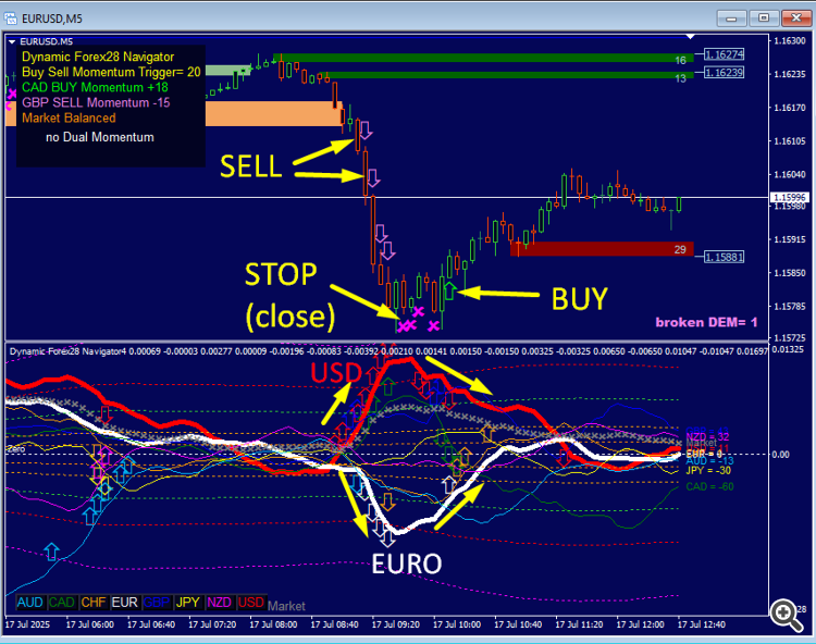 Dynamic Forex28 Navigator