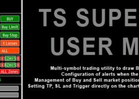 Manual de Usuario - TS SUPER PANEL para Metatrader 5