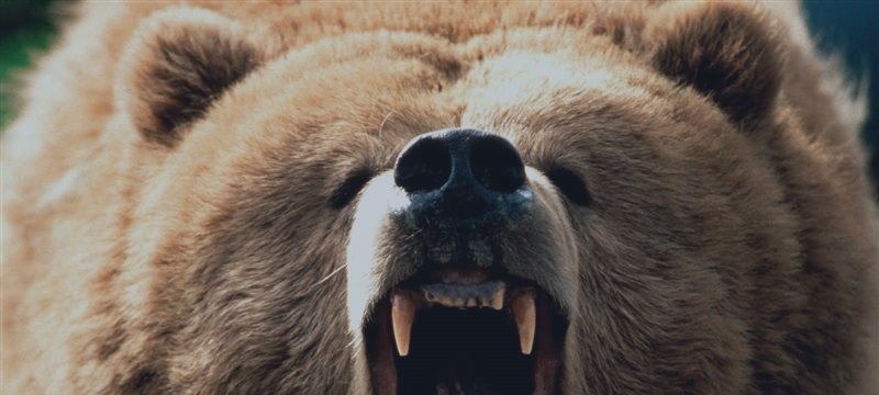Buyers beware, the bear market has begun: Gartman
