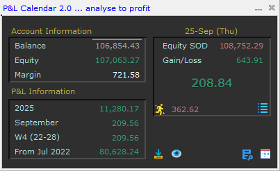 Panel - Account Information
