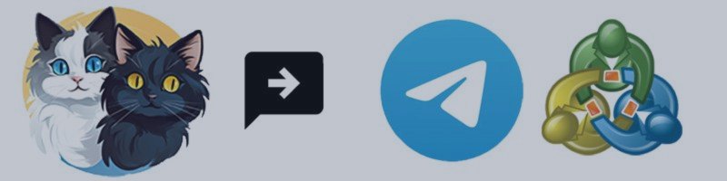 Copy Cat Notification Module Manual