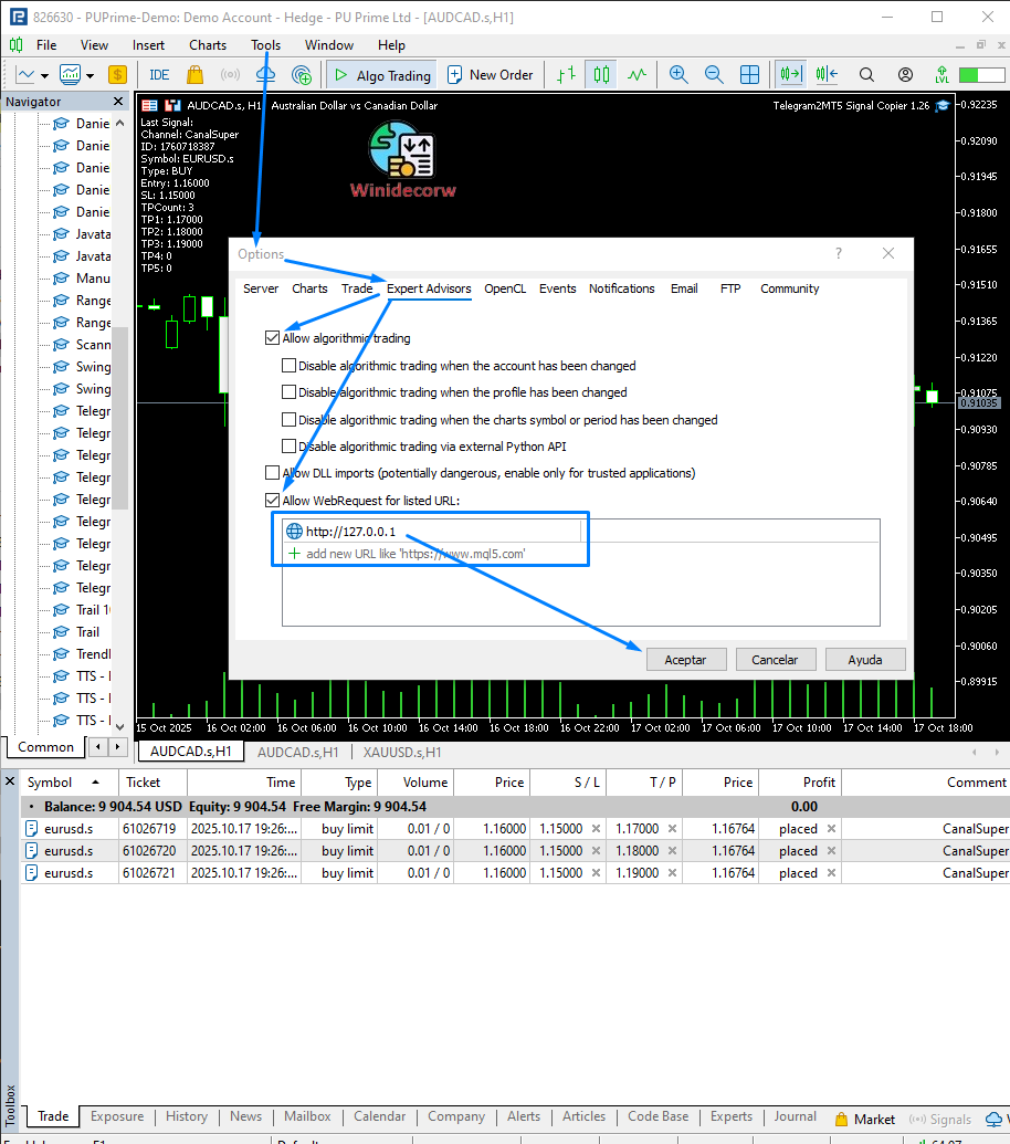 6 Allow Algo Trading and Your ip in MT5 Webrequest