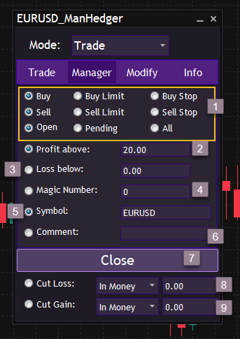 Manager Mode Explained