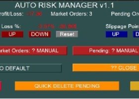 Auto risk manager PRO Auto risk manager PRO
