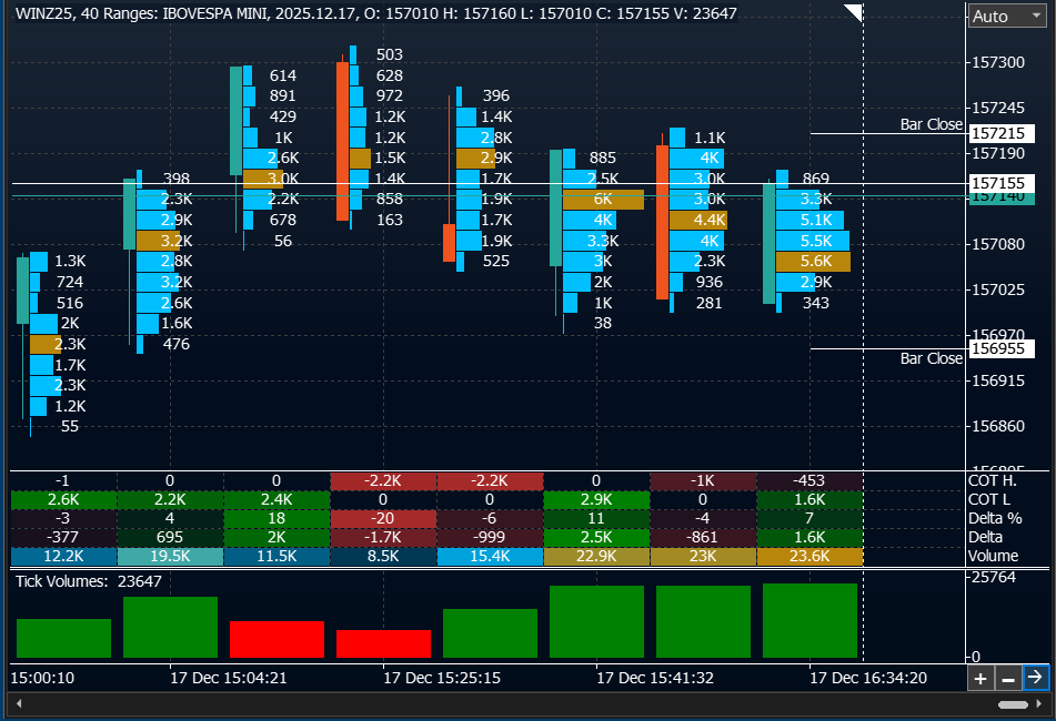 Timeless Charts - Chart Window Layout with clusters, bars statistics pnale and volume indicators on a subwindow Timeless Charts - Chart Window Layout with clusters, bars statistics pnale and volume indicators on a subwindow