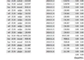 -28,371 USD The Yen Under Dual Control of “Politics and the U.S.” – Late January Marks the Entrance to a Trend Market