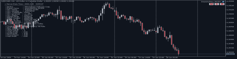 Developing High-Precision MQL5 Experts: A Deep Dive into Quantitative Price Intensity Logic
