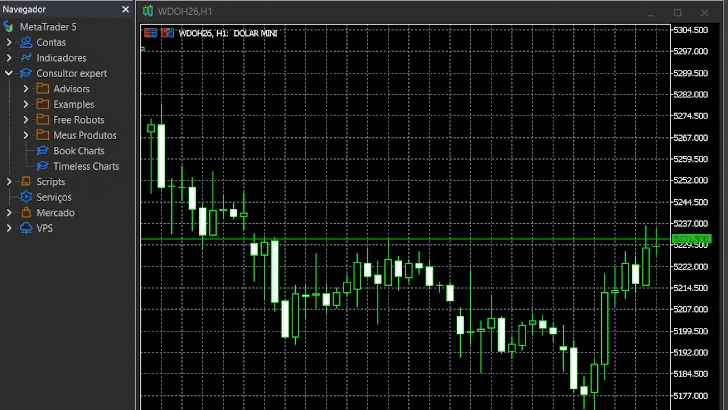 attaching Timeless Charts to MT5 attaching Timeless Charts to MT5
