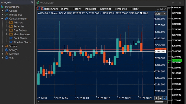 configure historical data in Timeless Chart in MT5 configure historical data in Timeless Chart in MT5