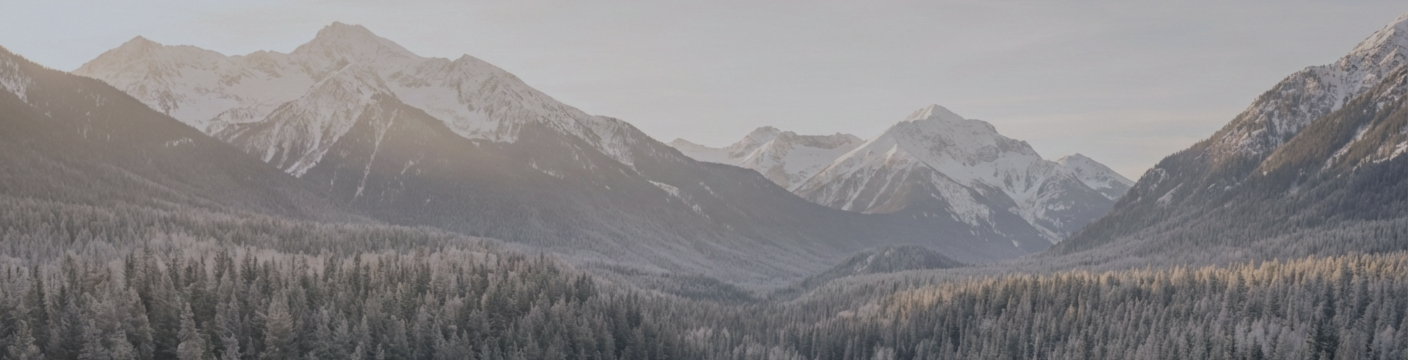 Free Nova Expert Advisors — A Transparent Approach to Automated Trading