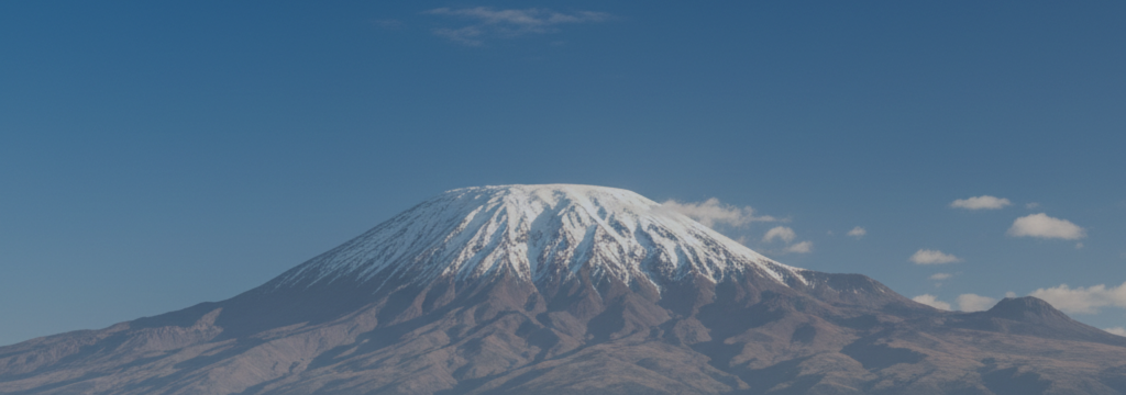 📊 Week in Review: $1,000 Withdrawal in 54 Days — Here's Exactly How It Happened