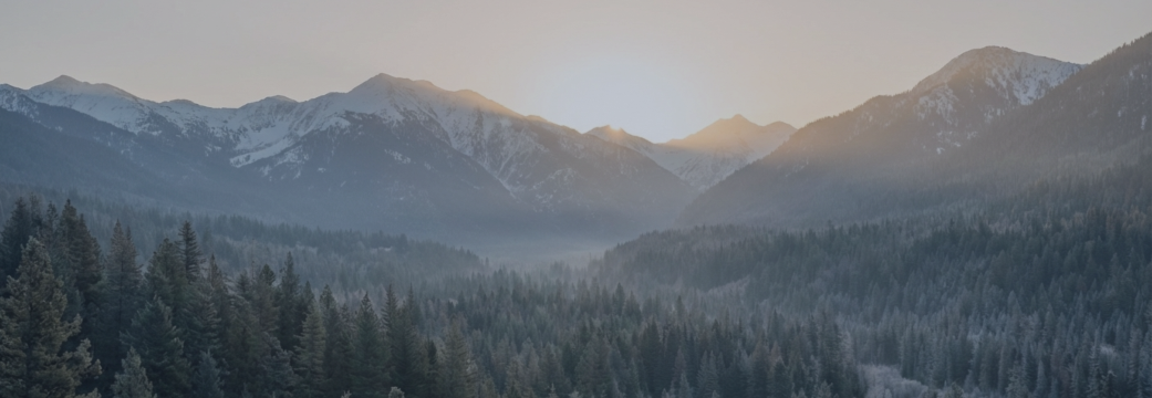 Nova FI Trader — Force Index as a Confirmation Layer