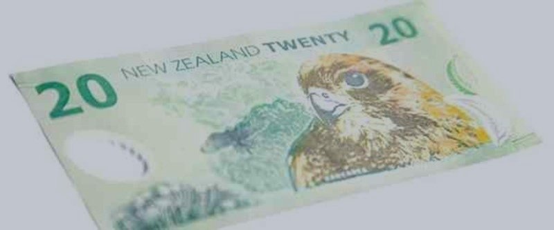 New Zealand Dollar: Bank of America Forecast