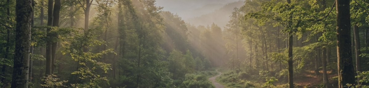 Test Your Own EURUSD Momentum Strategy — Free Nova FI Trader (5M Preset Included)