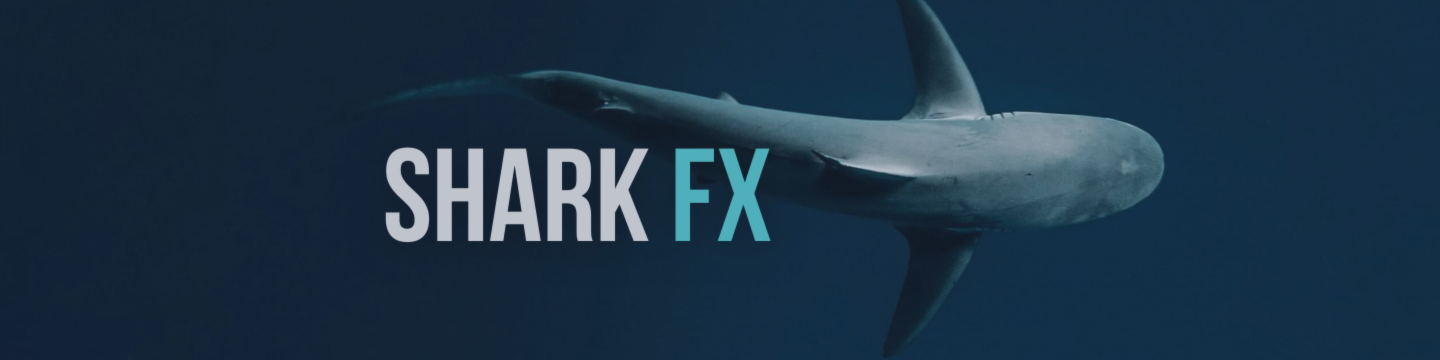 🚀 Shark FX keeps pushing forward!