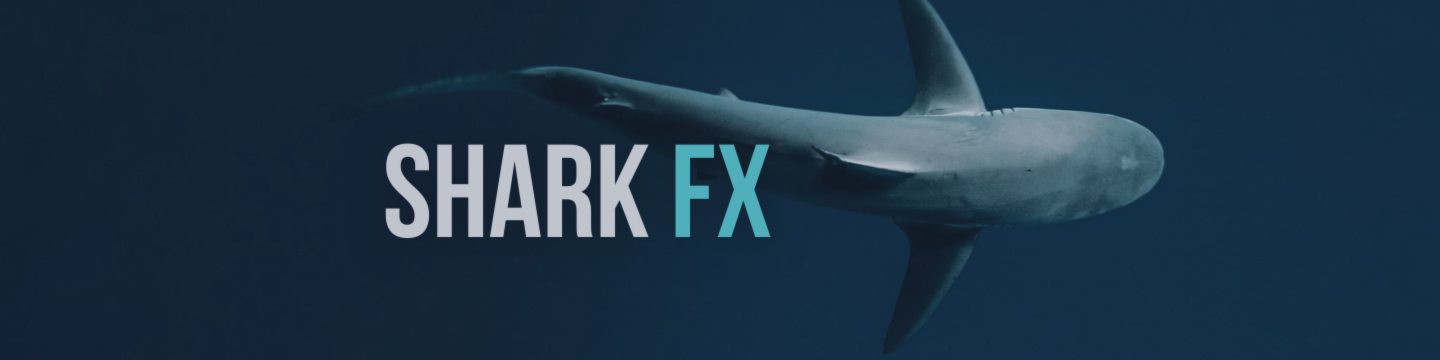 🚀 SharkFX 持续稳步前进！