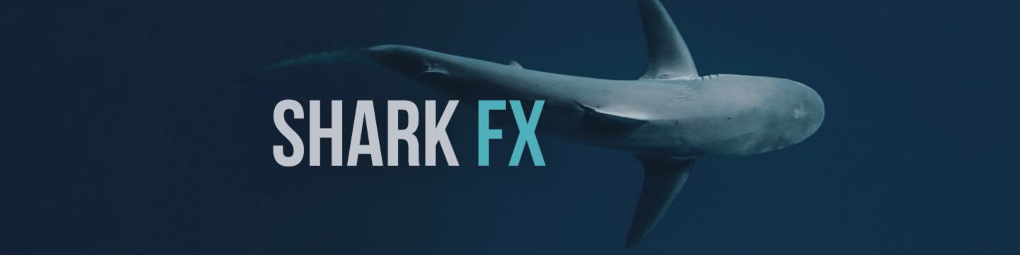 🚀 SharkFX continua avançando com força!