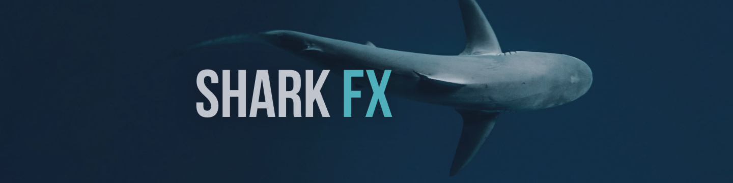 🚀 SharkFX는 계속해서 강력하게 성장하고 있습니다!