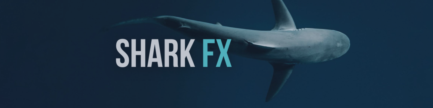 🚀 SharkFX continue d’avancer avec force !