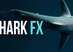 🚀 SharkFX 持续稳步前进！