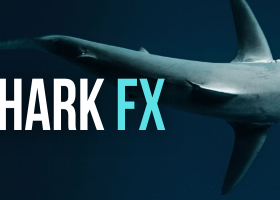 🚀 SharkFX continua avançando com força!