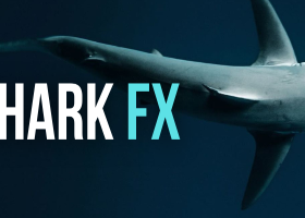 🚀 SharkFX는 계속해서 강력하게 성장하고 있습니다!