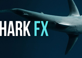 🚀 SharkFX continue d’avancer avec force !