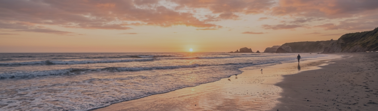 XAUUSD 1H & 5M Momentum Test — Nova RVI Trader Gold Presets