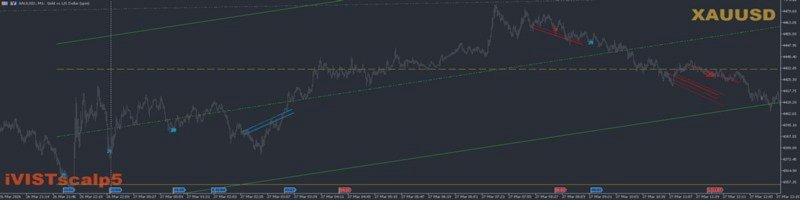 The Art of Working with Timings: How to Extract Maximum from Market Movements