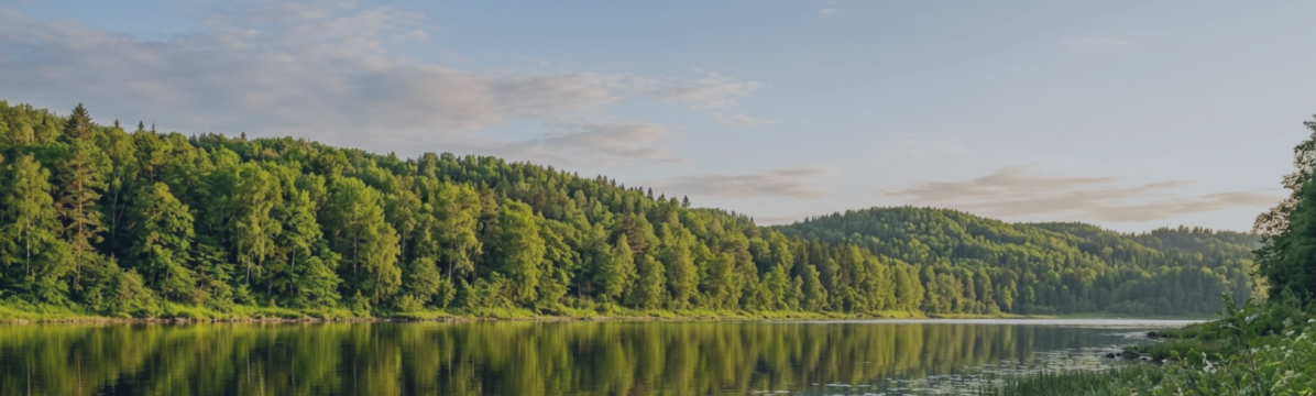 USDJPY 5M Precision Test — Refined RVI Momentum Setup