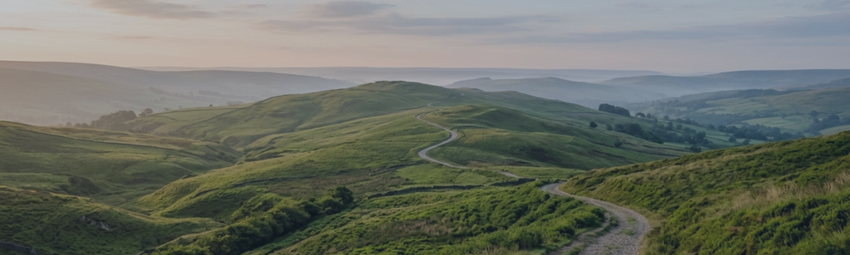 USDJPY 1H Structure Test — RVI Momentum Strategy