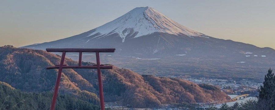 Apex Drawdown Zero — Live MyFxBook Results: +106% Gain, 0.39% Drawdown on Real Prop Firm Account