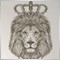 Aslan Ramit Group