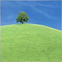 Холмы друг за другом. «Зеленые холмы». Зеленые холмы сознание. Холм картинка для детей. Пригорок картинка для детей.