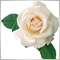 mariko1224 mariko1224