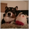 Jetedawg Jetedawg
