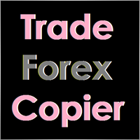 tradeforexcopier