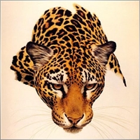 Jaguar H.