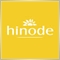 Hinode Consultor