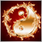 Qiang Gao