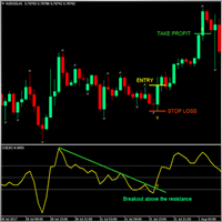 Matshelo Innocent Beesnaar