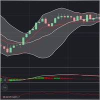 Syafrani Ainur Rahman
