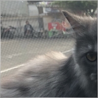 Bagus Ariyanto Wibowo