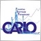 CARLO FINANCIAL SOFTWARE TECHNOLOGY LLC
