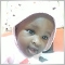 wakili22