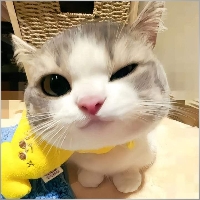 Bounpone Phommasy