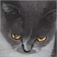 Koson Hansakunarom
