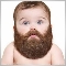 Barba_trader