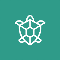 Green_Turtle_Traders